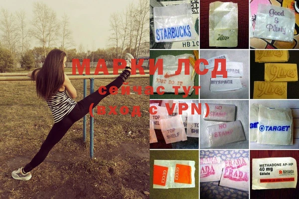 гидропоника Алексеевка