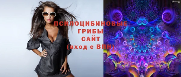 эйфоретик Алзамай