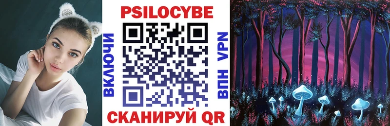 Галлюциногенные грибы Cubensis Жердевка